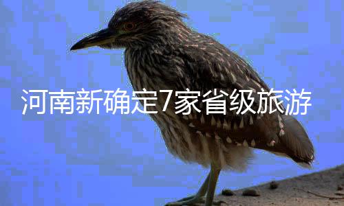 雷霆管理层信威少不会走 消息人士：围绕他建队 新确集体研究”等程序...昨日