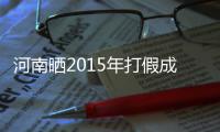 河南晒2015年打假成绩单 查处案件2600余起
