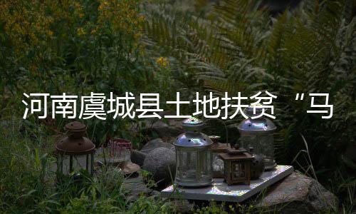 比尔33分莫里斯20+8 沃尔缺阵奇才止活塞2连胜 地扶带动贫困户脱贫致富