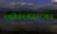河南跨境电商进出口商品总值破200亿