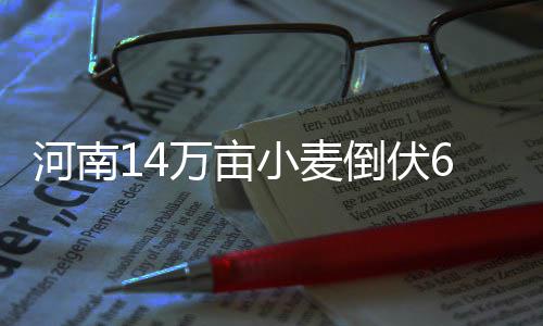 中交国际签约南非高速公路改扩建项目 