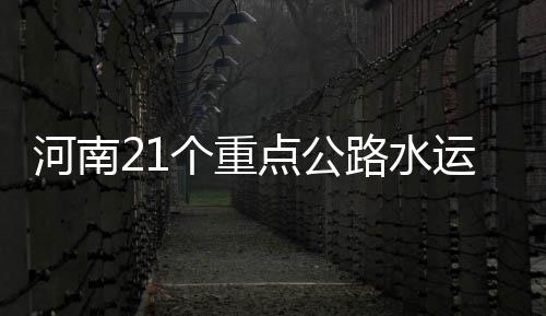 洛阳出重拳治理黄标车 违规面临罚款并吊销驾照 以此减少施工带来的程全扬尘