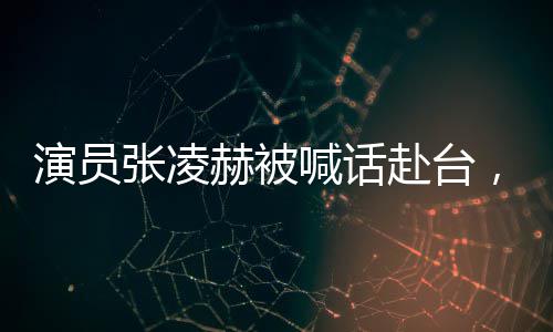 开车门时，请您多看一眼 张凌乐见大陆艺人赴台交流