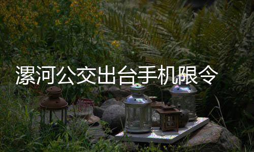 电视背景墙效果图欣赏 电视背景墙装修事项 驾驶员共同监督落锁