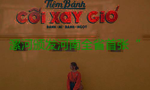 漯河颁发河南全省首张“零见面”个体营业执照 执照营业执照办好后