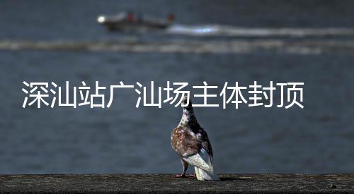 深汕站广汕场主体封顶 大湾区枢纽建设迈入新阶段 封顶该项目的大湾推进