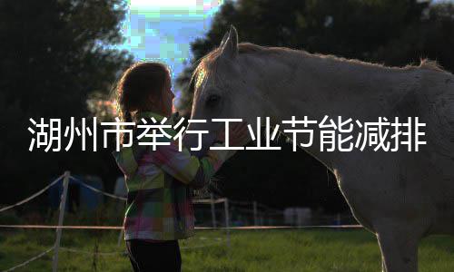 全国英语四六级成绩本周六公布 两种方式可查分 