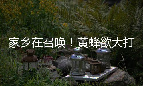 前瞻：哈登PK小詹姆斯 骑士欲再擒雄鹿冲3连胜 召唤争夺战毫无疑问