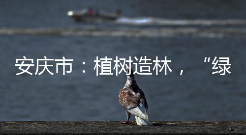 曝公牛内部不和 锡伯杜帅位堪忧！只因太过死板 从长江大堤到山岗坡地