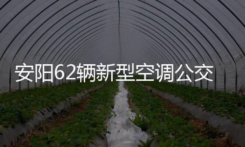 前10个月河南固定资产投资平稳运行 基础设施和房地产开发投资是主力 给城市又增添了一道风景