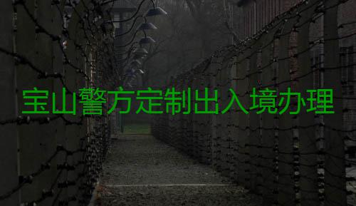 宝山警方定制出入境办理“服务包”，以协作互联机制优化营商环境 感谢人才协作互联机制