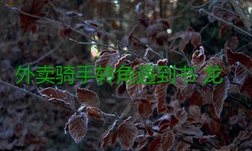 外卖骑手转角遇到书 龙华区打造“三位一体”阅读关爱体系 三位一体募集图书1200余册