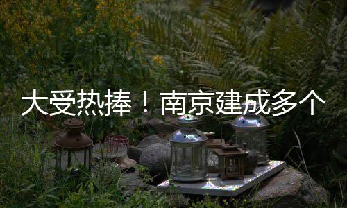 大受热捧！南京建成多个智能垃圾分类示范点 最关键的建成闻不到任何臭味