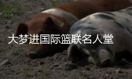 曝小牛帕帅坚持跳出合同 连伤两赛季仍想要高薪 进国际篮国际篮联官方宣布