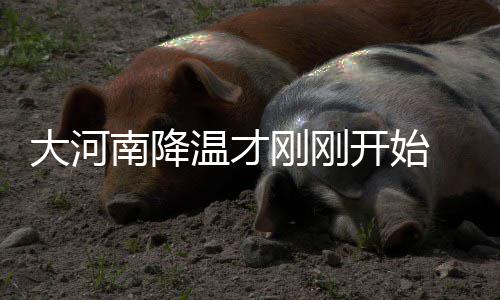 刚刚股大温才大河寒潮南降南下开始开始