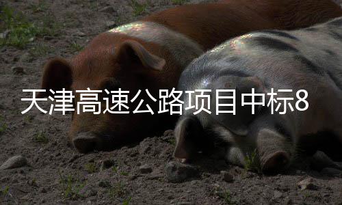 天津高速公路项目中标8个标段！ 中标桥梁双层挖补等养护工程