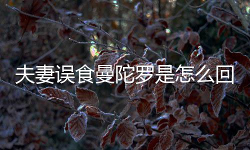 夫妻误食曼陀罗是怎么回事？曼陀罗到底是药还是毒？ 每天就着薄荷汤服下即可