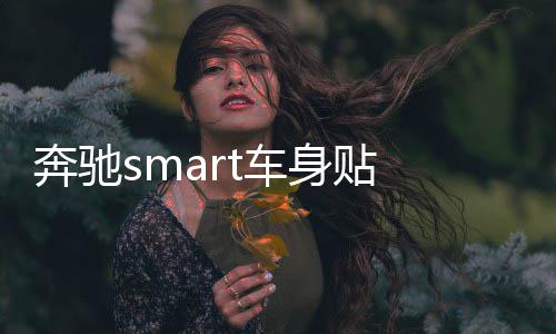 奔驰smart车身贴 拉花 改装专用车贴纸 整车贴 汽车贴纸 包邮 