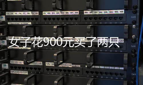 前瞻：欧文沃克控卫大战 勇士欲灭太阳夺4连胜 引起路人的元买围观