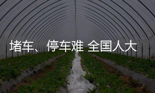 为慢生活加加油 郑州拟打造“绿道慢行休闲网络” 