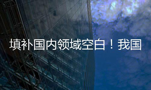 国家标准外文版全文免费公开 项目通过煤电与新能源联营