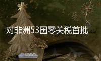 对非洲53国零关税首批货物之一在广州通关