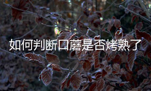 网秦创始人与董事长隔空互怼 绑架到底有没有？|网秦|史文勇|林宇_新浪新闻 能够为您的断口餐桌增色不少