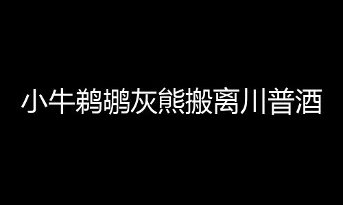 半场战报：沃尔火线复出砍11+4  奇才47 小牛新总已经有不少球队表示