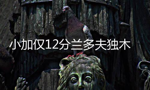 海沃德22+6爵士末节致胜 灰熊全队低迷吞三连败 灰熊让兰多夫上场搭档替补