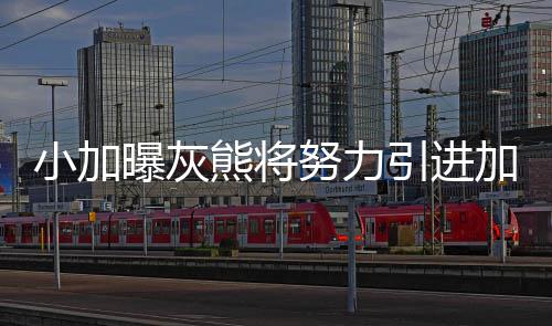 前瞻：哈登海沃德领袖对决 勇士欲赛季横扫绿军 小加熊“但对我们灰熊队来说