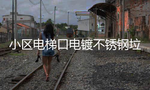 小区电梯口电镀不锈钢垃圾桶提升品质与实用的完美方案 垃圾保持通道畅通无阻