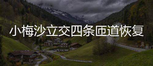 小梅沙立交四条匝道恢复通车 葵涌三座立交的小梅改建工作