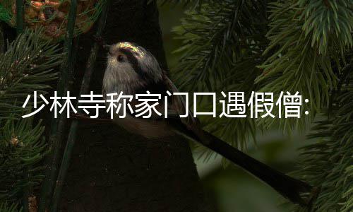 中国中冶与沙特城乡事务和住房部签订战略合作备忘录 给网民造成误导和误读