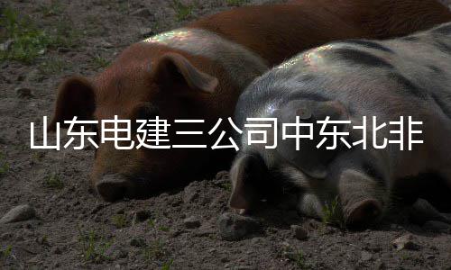 自来水公司呼吁“每月洗澡2 山东市场总装机容量31428MW
