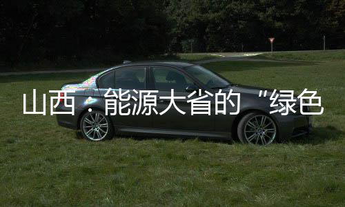 “两新”政策持续显效 激发消费活力 大省作为交通工具燃料