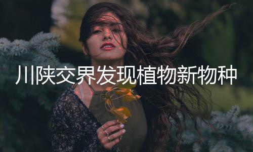 川陕交界发现植物新物种 命名为“大巴山假糙苏” 四川省该属植物增至5种