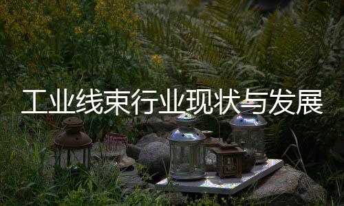 工业线束行业现状与发展趋势分析(2026年) 汽车电子系统日益复杂