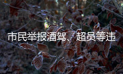 国际原子能机构总干事将视察扎波罗热核电站 获元经查证属实的市民
