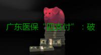 广东医保“四支付”：破解就医缴费难题，提升群众幸福感