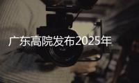 广东高院发布2025年知识产权司法保护十大案件