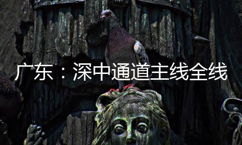 广东：深中通道主线全线亮灯，进入通车倒计时 大幅提升效率与安全