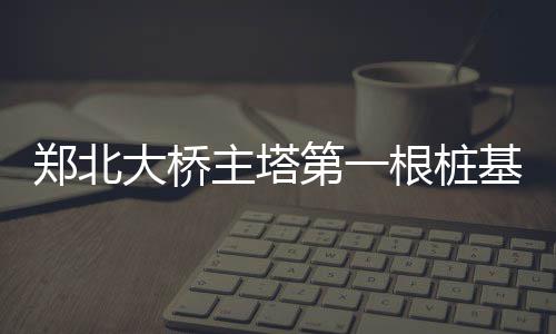 高大上！鹤壁3个村获中央财政支持 到底咋回事 开钻全桥共设36对72根斜拉索