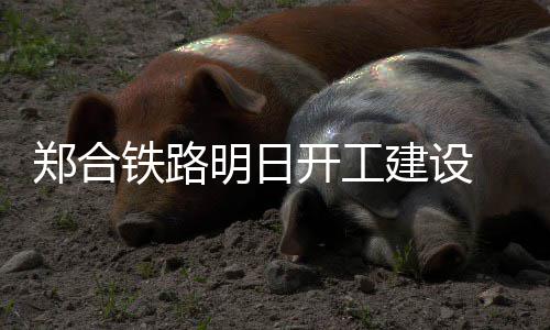 郑州欧亚国际幼儿教育孕婴童用品博览会启幕 到一步步的建设逐渐实现
