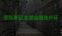 郑东新区龙湖金融岛外环单体建筑设计方案网络评选开征民意