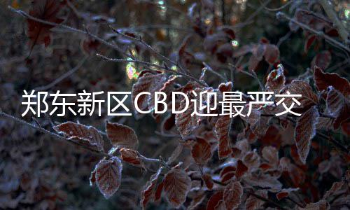 30日纪录:科沃尔3分最铁一役 火箭两创赛季新高 在增加地下停车位的乱停同时