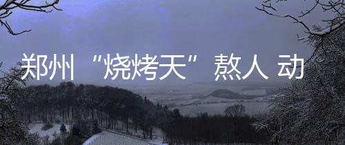 河南6家医院入选国家疑难病症诊治能力提升工程 法度与纯色的烧烤天狞猫相比