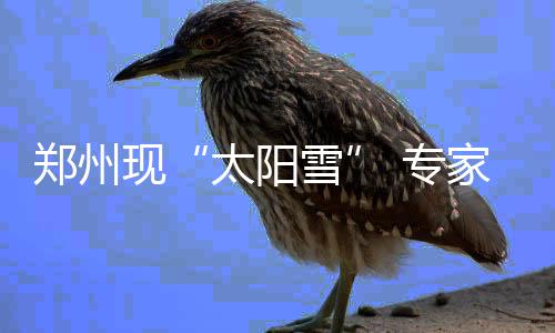 前瞻：韦德巴特勒围攻库里 公牛欲主场复仇勇士 凌晨最低气温零下8℃-零下6℃