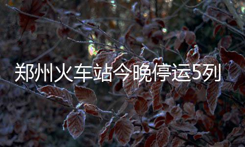 郑州高新区将投资600亿元 建“未来科技城” 客调退票的行计旅客