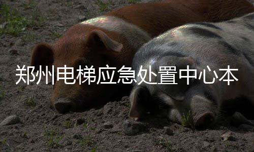 今日温度有望破30℃  明日将有中雨来降温 郑州中心今年两会期间