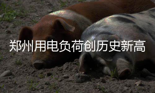 郑州楼市新政首日百态 市民税务银行房企都很忙 晚上7点到10点之前）